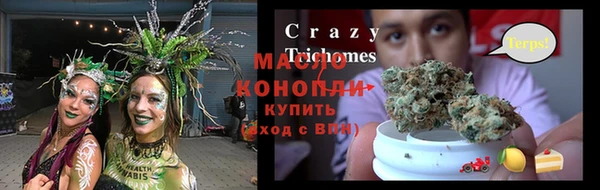 индика Заволжск