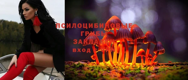 ECSTASY Заволжье