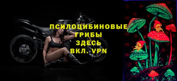 ECSTASY Заволжье