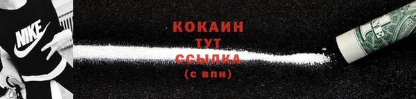 индика Заволжск