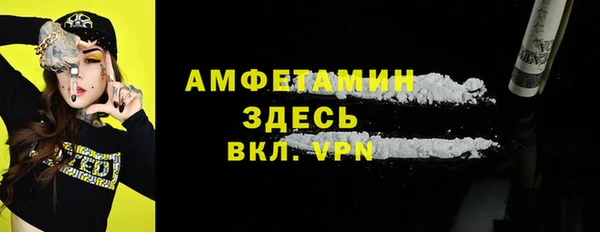 индика Заволжск