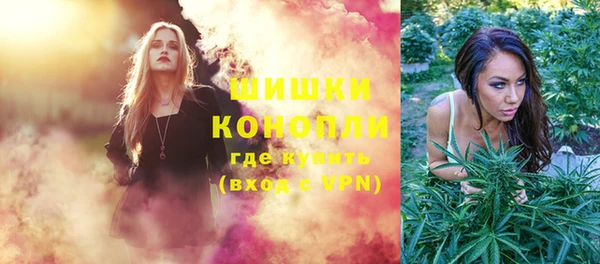 индика Заволжск