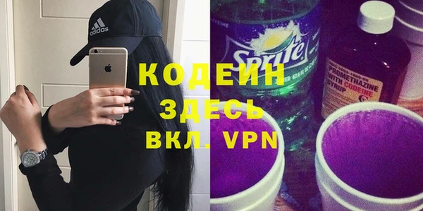 индика Заволжск